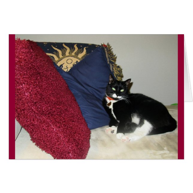 Lounging Lucy (Voorkant Horizontaal)