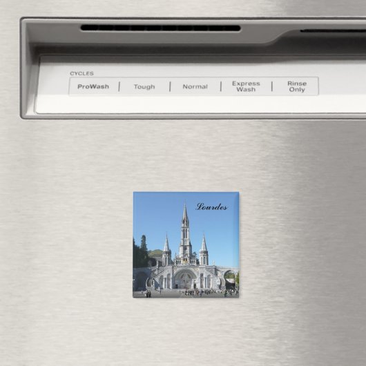 Lourdes - basilica - basilica - Frankrijk Magneet (Insitu (Vaatwasser))