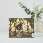 Lourdes Grotto, vlakbij de nonnenne van Ingenbohl, Briefkaart (Staand voorkant)