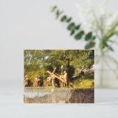  Lourdes, Stations of the Cross Briefkaart (Staand voorkant)