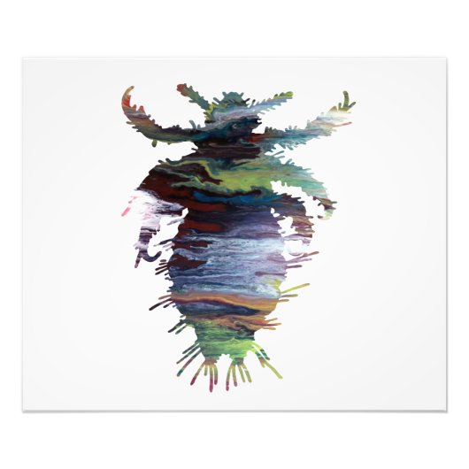 Louse Foto Afdruk (Voorkant)