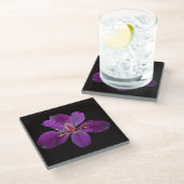 Lousiana Black Gamecock Iris Flower Glass Onderzet Glazen Onderzetter (Schuin)