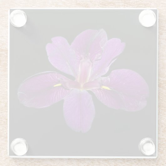 Lousiana Black Gamecock Iris Flower Glass Onderzet Glazen Onderzetter (Achterkant)