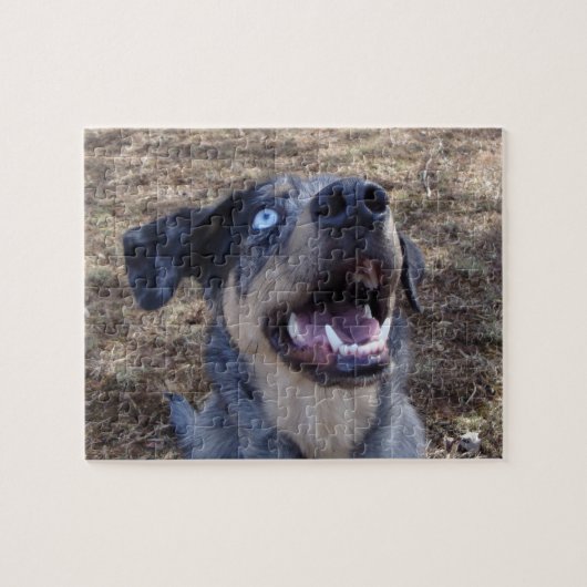 Lousiana Catahoula Luipaard Hond Legpuzzel (Horizontaal)