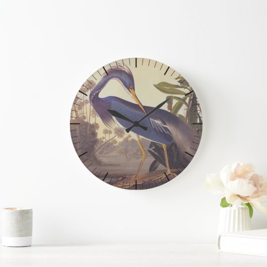 Lousiana Heron in grijs, groen en blauw door Audub Grote Klok (Huis)