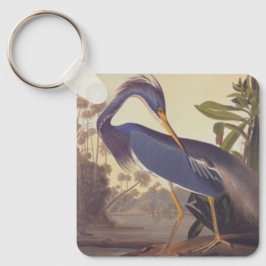 Lousiana Heron in grijs, groen en blauw door Audub Sleutelhanger (Voorkant)