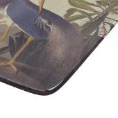 Lousiana Heron in grijs, groen en blauw door Audub Snijplank (Hoek)