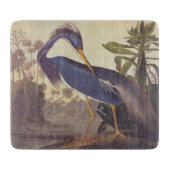 Lousiana Heron in grijs, groen en blauw door Audub Snijplank (Voorkant)