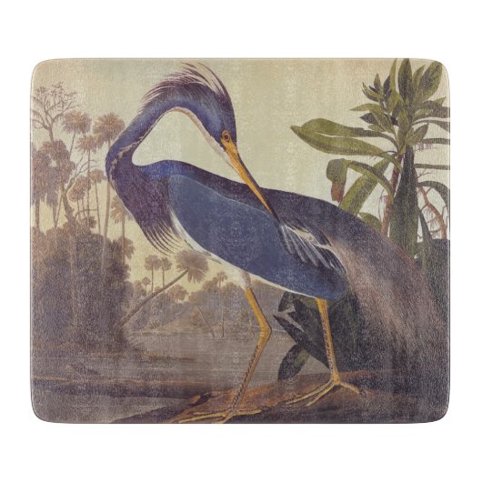 Lousiana Heron in grijs, groen en blauw door Audub Snijplank (Voorkant)