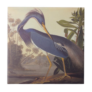 Lousiana Heron in grijs, groen en blauw door Audub Tegeltje