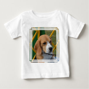 Lovable Beagle