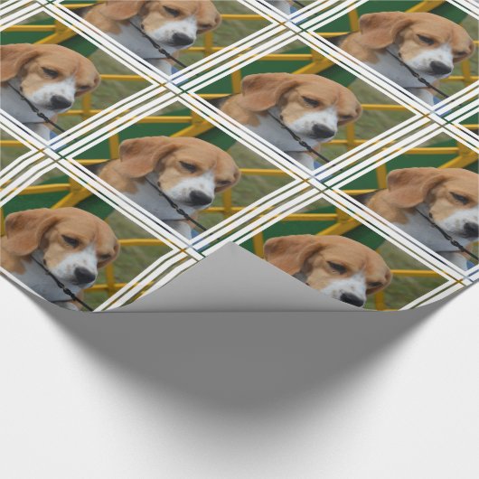 Lovable Beagle Cadeaupapier (Hoek)
