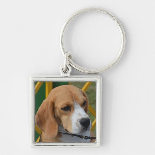 Lovable Beagle Sleutelhanger (Voorkant)