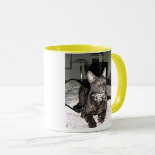 Lovable Cornish Rex Mok (Voorkant rechts)