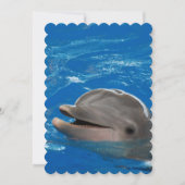 Lovable Dolphin Kaart (Voorkant)