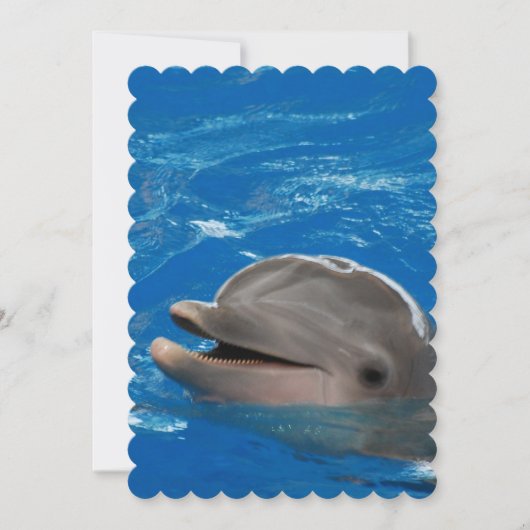 Lovable Dolphin Kaart (Voorkant)