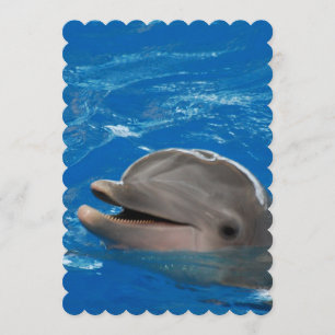 Lovable Dolphin Kaart