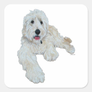 Lovable Goldendole Vierkante Sticker