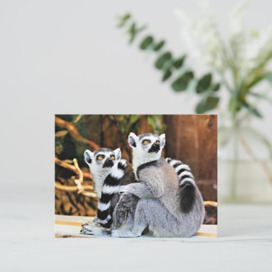 Lovable Lemurs Briefkaart (Staand voorkant)