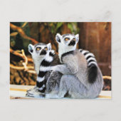 Lovable Lemurs Briefkaart (Voorkant)