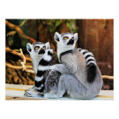 Lovable Lemurs Perfect Poster (Voorkant)
