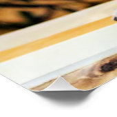 Lovable Lemurs Perfect Poster (Hoek)