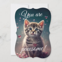 Lovable Little Kitten - je bent een pauze!