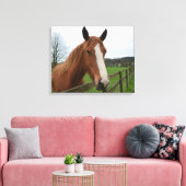 Lovable Quarter Horse Canvas Afdruk (Insitu (Woonkamer))