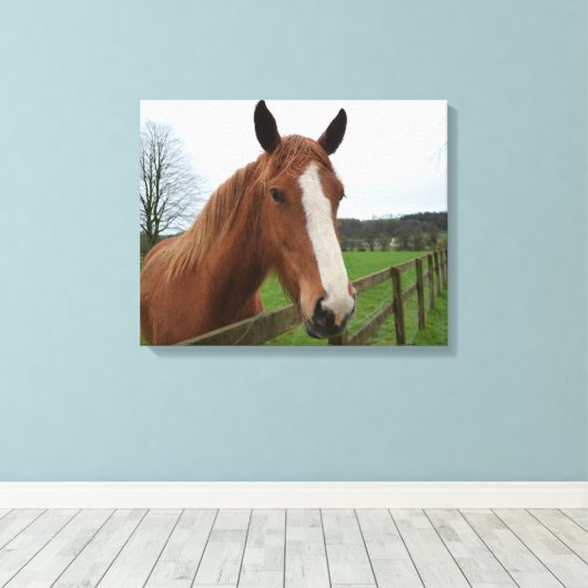 Lovable Quarter Horse Canvas Afdruk (Insitu (Houten vloer))