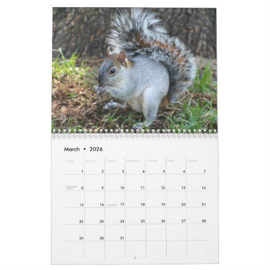 Lovable Squirrels 2016 Kalender (Mar 2026)