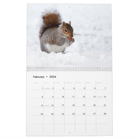 Lovable Squirrels 2016 Kalender (Feb 2026)