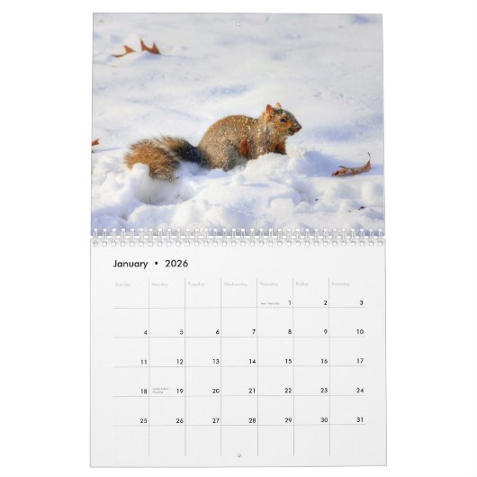 Lovable Squirrels 2016 Kalender (Jan 2026)