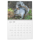 Lovable Squirrels 2016 Kalender (Mar 2027)