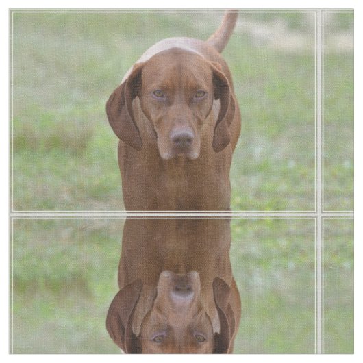 Lovable Vizsla Stof (Close Up)
