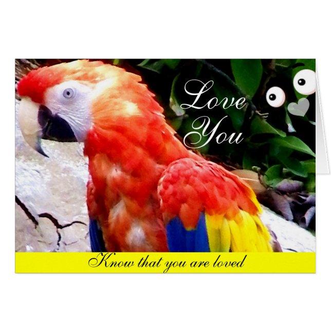 Love_ (Voorkant Horizontaal)