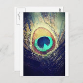 Love2Snap Peacock Feather Briefkaart (Voorkant / Achterkant)