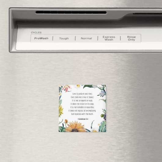 Love, 1 Corinthians 13:4, Magneet (Insitu (Vaatwasser))