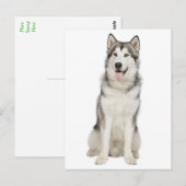 Love Alaskan Malamute Puppy Dog Briefkaart (Voorkant / Achterkant)