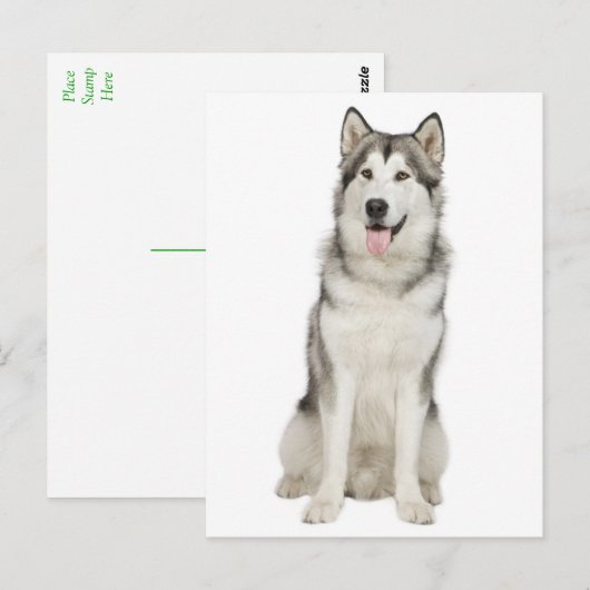 Love Alaskan Malamute Puppy Dog Briefkaart (Voorkant / Achterkant)