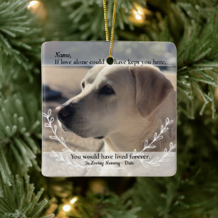 Love Alone Could Have Saved You Pet Loss Keramisch Ornament