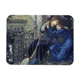 Love Among the Ruins (door Edward Burne-Jones) Magneet