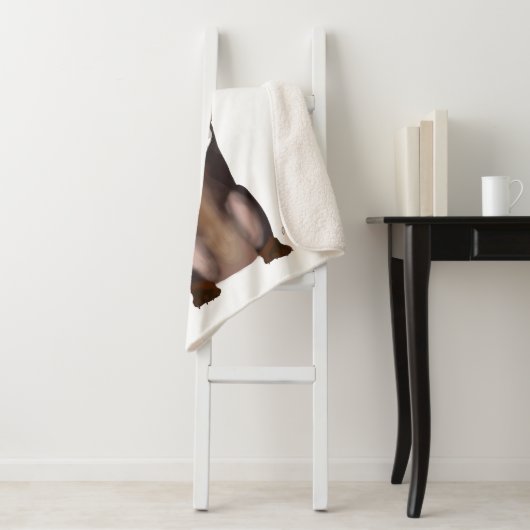 Love and Dachshund Sherpa Deken (In situ)