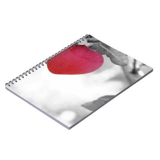 Love Apple Notitieboek (Linkerzijde)