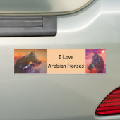 Love Arabians Bumpersticker (Op auto)