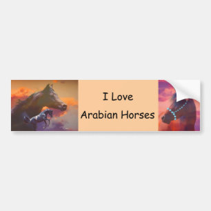 Love Arabians Bumpersticker