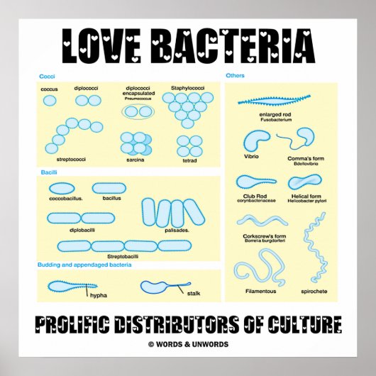 Love Bacteria Prolific Distributors of Culture Poster (Voorkant)