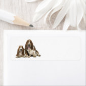 Love Basset Hounds retour adres label (Insitu)