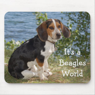 Love Beagle Puppy Dog Muismat