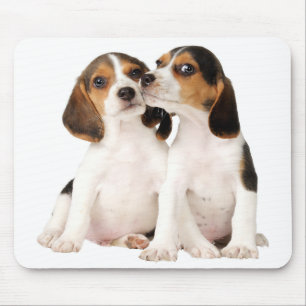 Love Beagle Puppy Dog Muismat