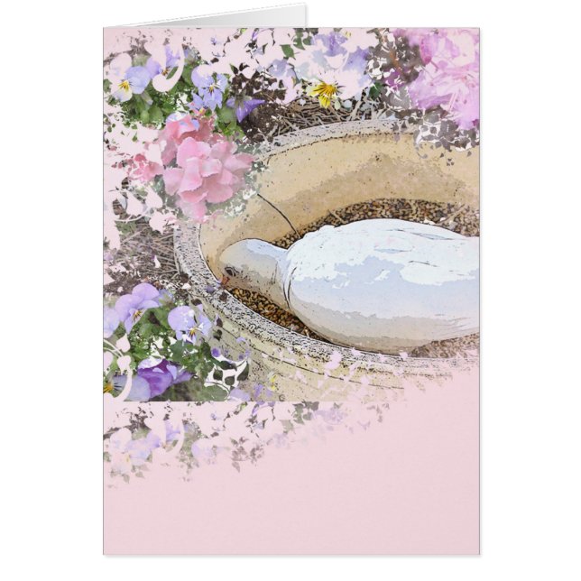 Love Bird (Voorkant)